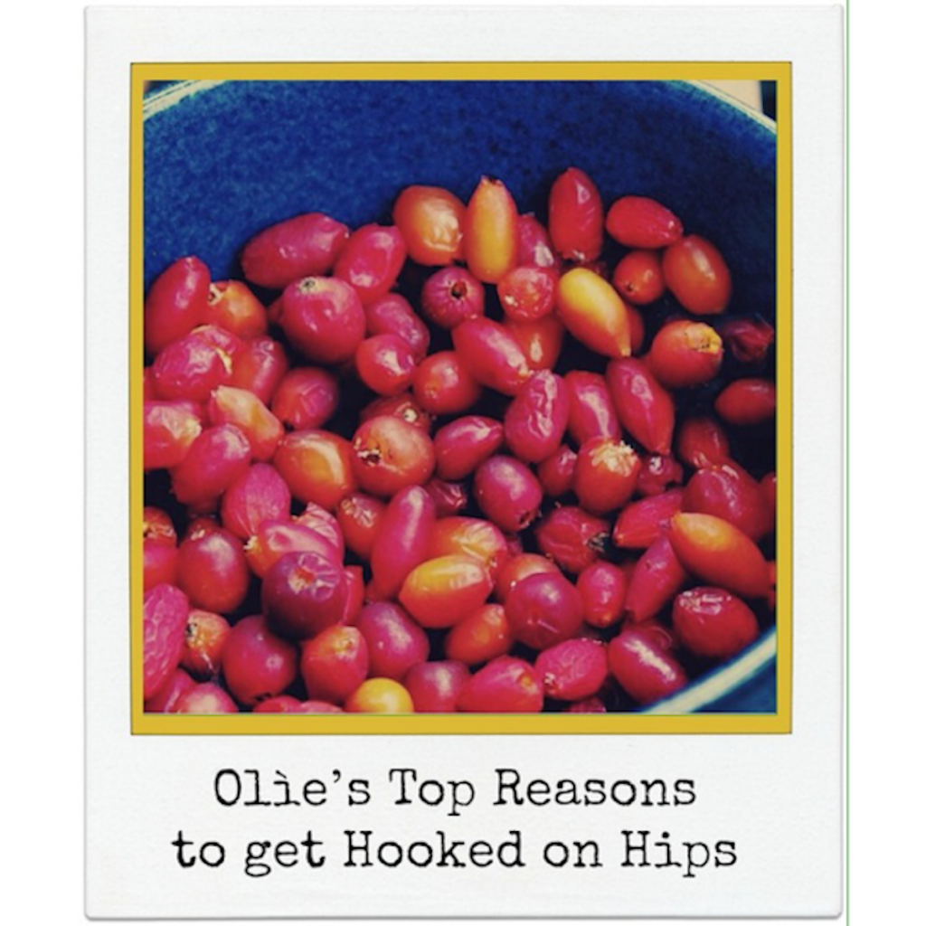 top reasons to use roship oil